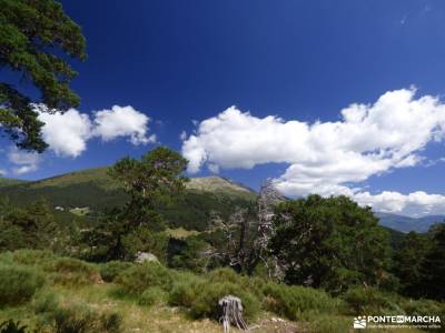 Tejos Rascafría-Valhondillo o Barondillo;rio borosa ruta el cañon del sil cañon de la horadada ca